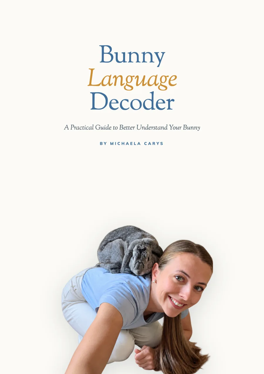 Cover of Bunny Language Decoder — Michaela with her rabbit