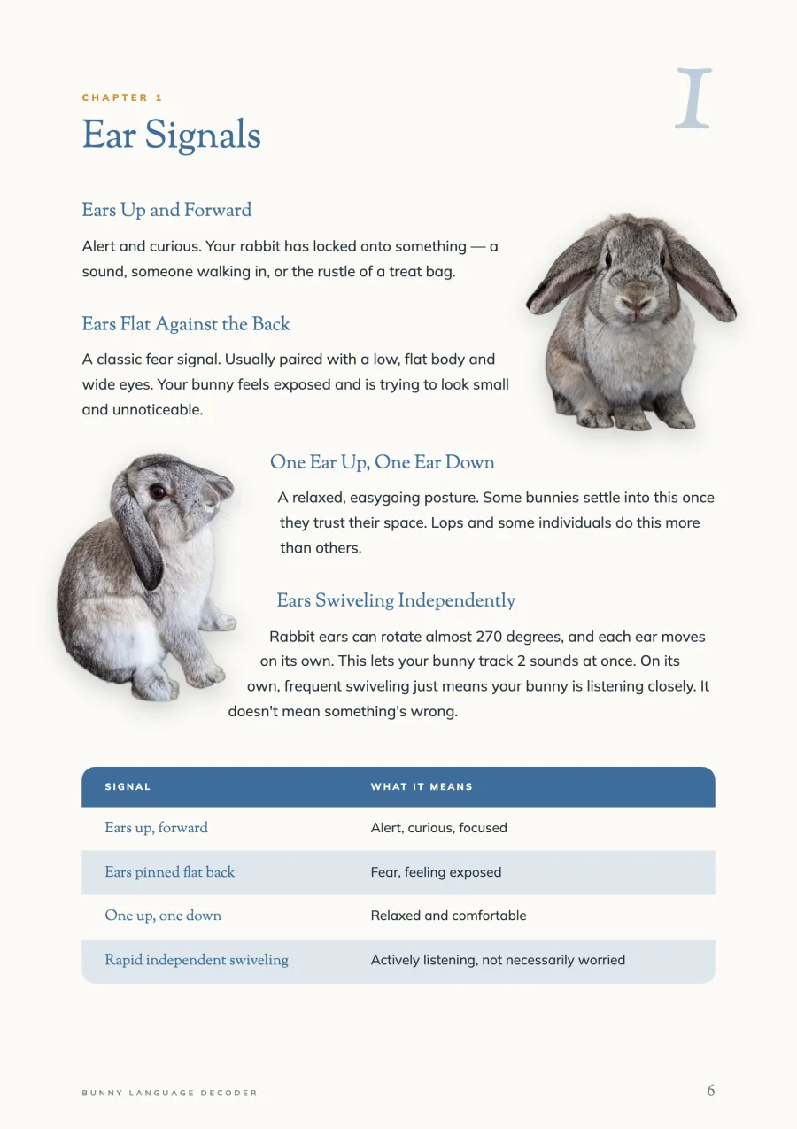 Chapter 1, Ear Signals — cut-out photographs and a reference table