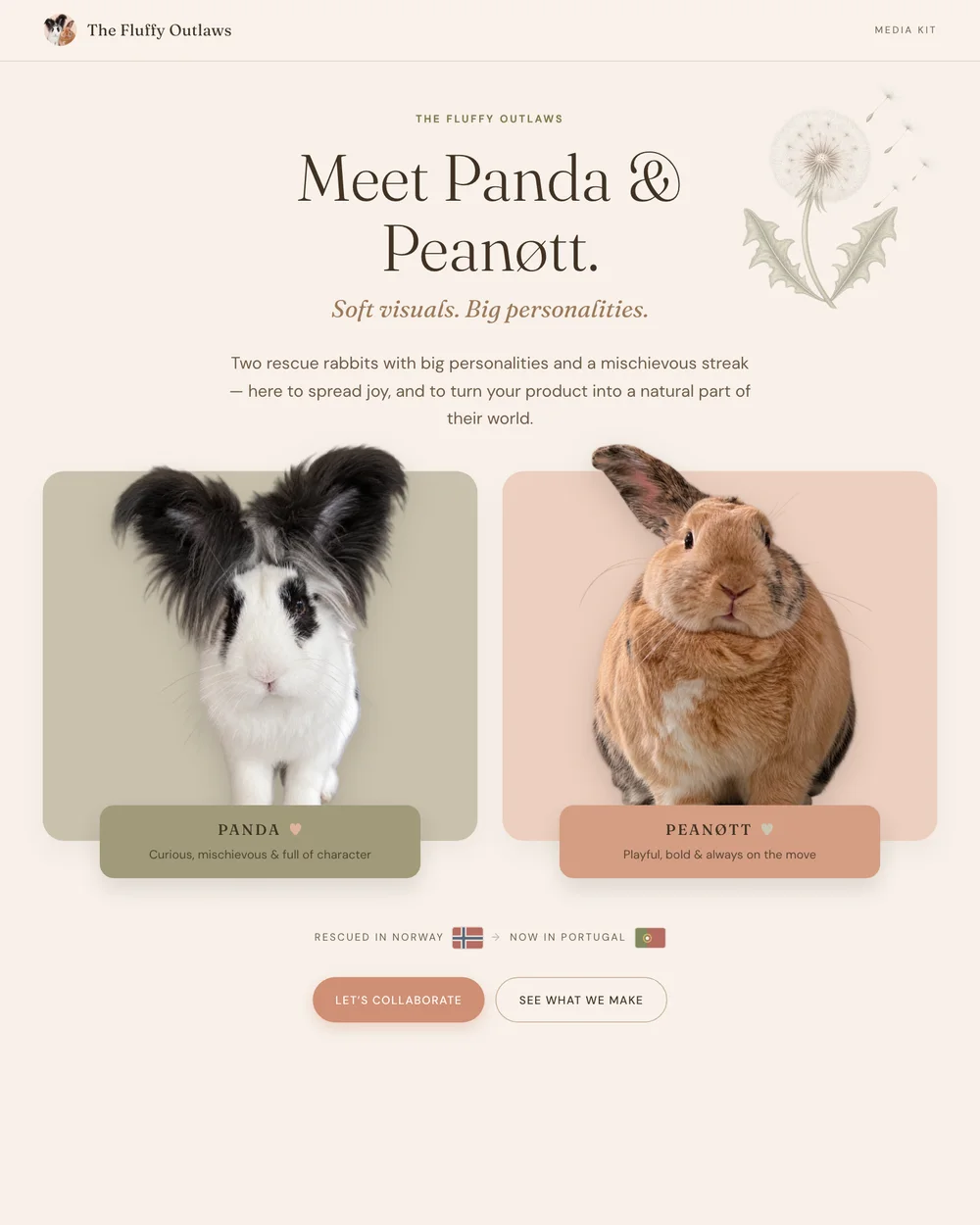 The Fluffy Outlaws media kit — Panda and Peanøtt